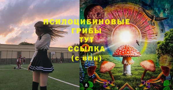 круглые Белокуриха
