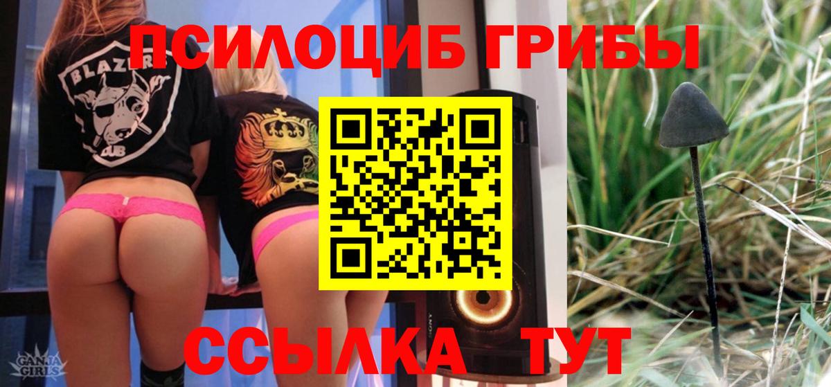 Псилоцибиновые грибы MAGIC MUSHROOMS Бор
