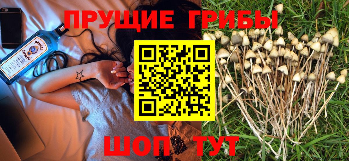 Бор  Галлюциногенные грибы мицелий  Галлюциногенные грибы Cubensis  Вход с VPN 